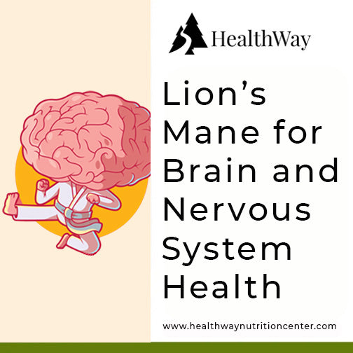 Supplementing with Lion's Mane Mushroom