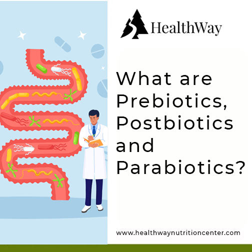 Understanding Probiotics, Prebiotics, Postbiotics and Parabiotics