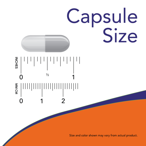 Now Acetyl-L-Carnitine 500mg 100cp-[HealthWay]