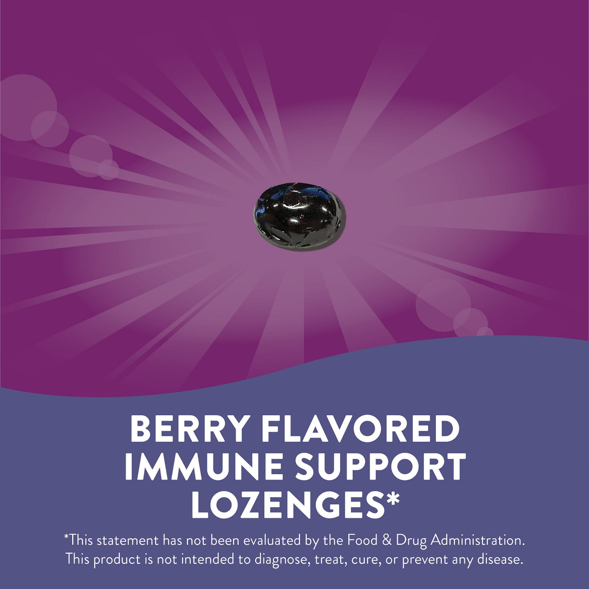 Natures Way Sambucus Zinc Elderberry 24lz-[HealthWay]