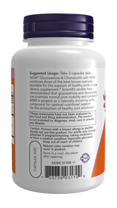 Now Gluco/Cond + MSM 90cp-[HealthWay]