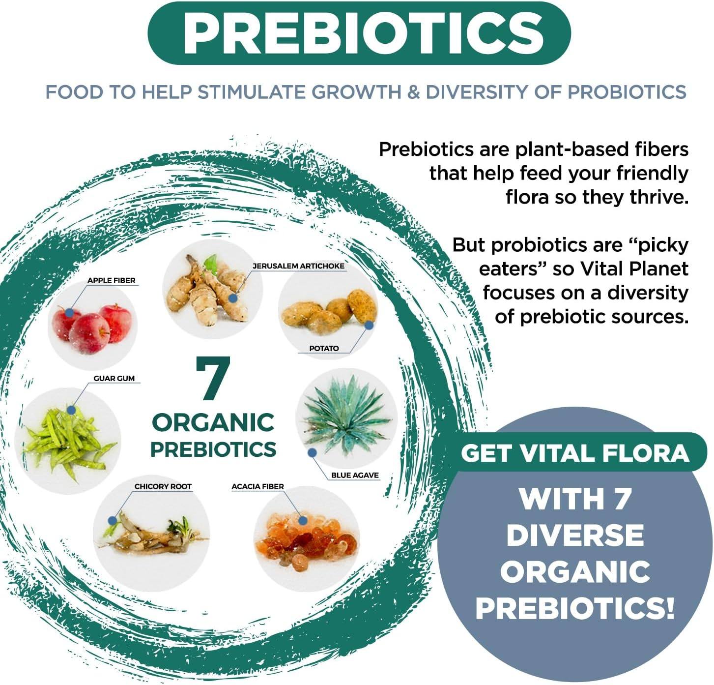 Vital Flora Mens Daily Probiotic 60B 60cp
