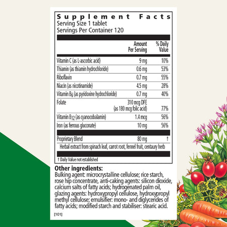Supplement Facts Floradix Iron 120tb | Healthway