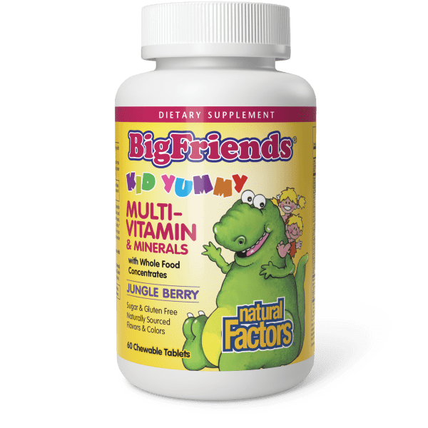 Natural Factors Big Friends Multivitamin 60ch