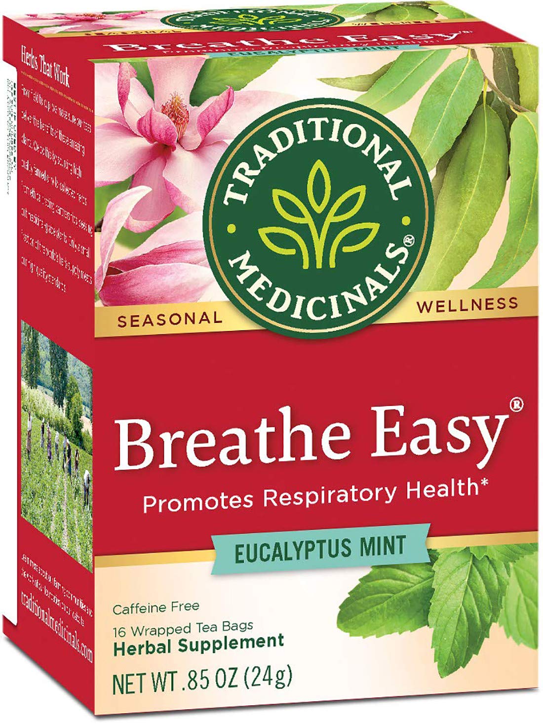 Traditional Medicinals Breathe Easy Tea 16bg