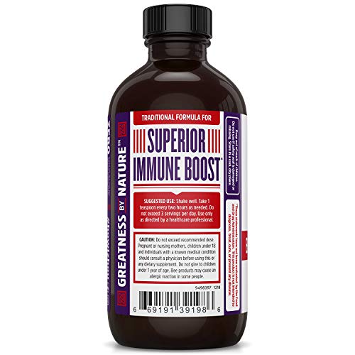 Zhou Elderberry Syrup 8oz