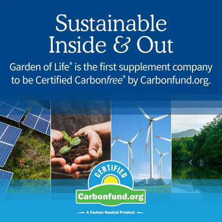 Garden of Life Dr Memory&Focus Adult 40+ 60tb-[HealthWay]