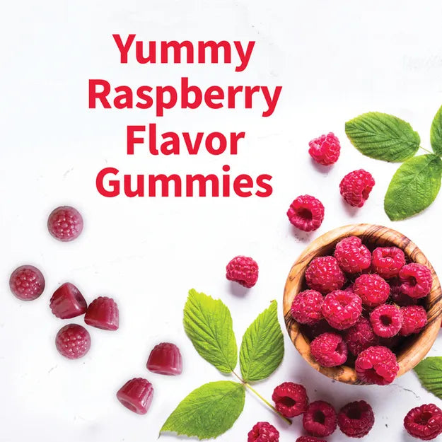Garden of Life Dr Mag Probio Raspberry 60ch-[HealthWay]