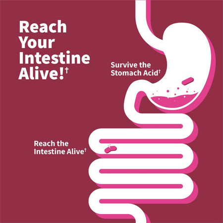 GoL Dr Probiotic Women pH 30ct-[HealthWay]