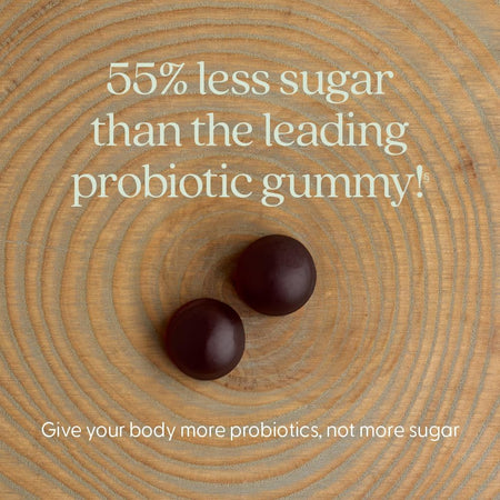 Low Sugar Promotion New Chapter All-Flora 60ct - Healthway