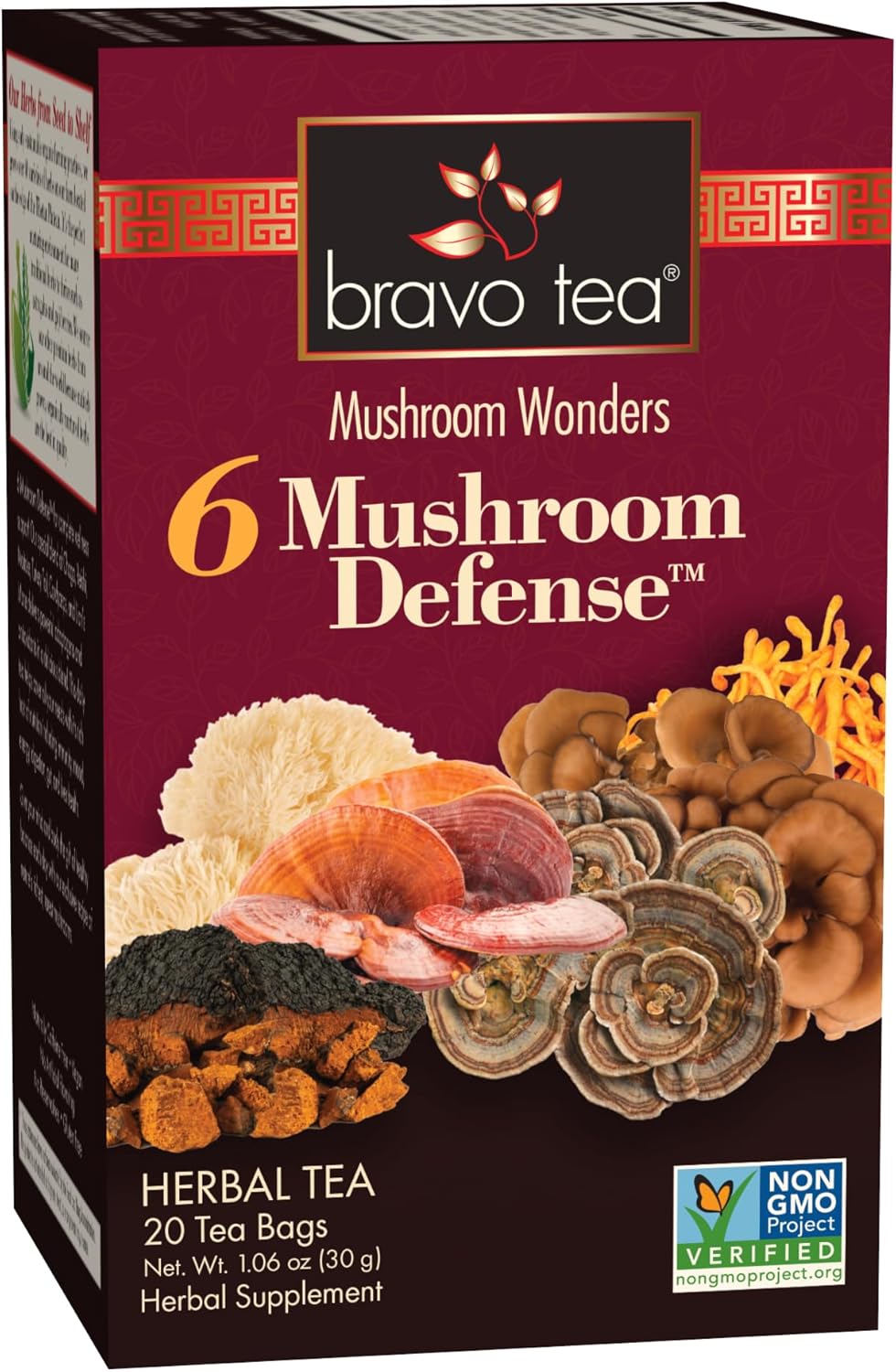 Front Label Bravo Six Mushroom Defense Tea | Healthway