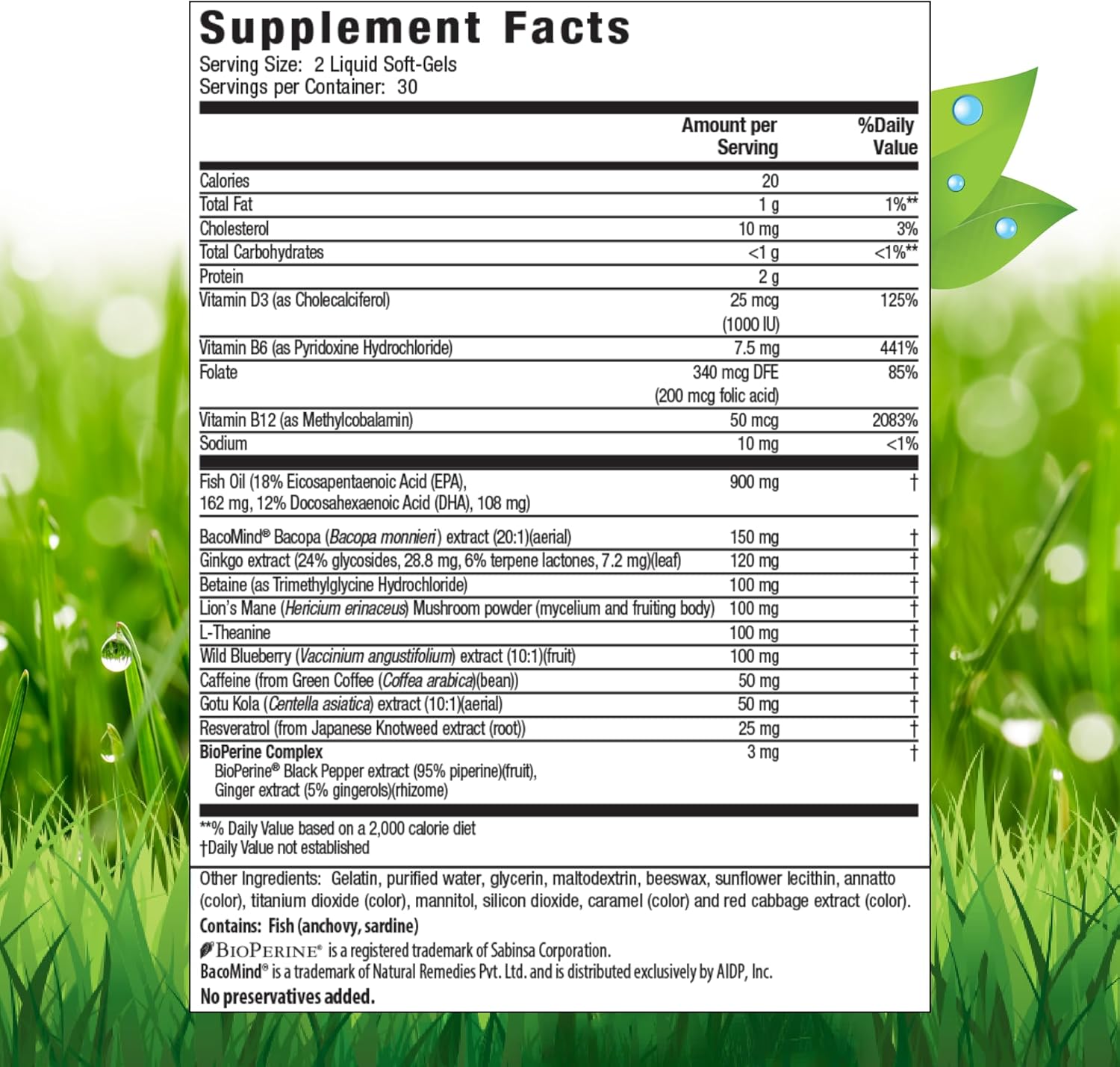 Irwin Healthy Brain All-Day Focus 60sg