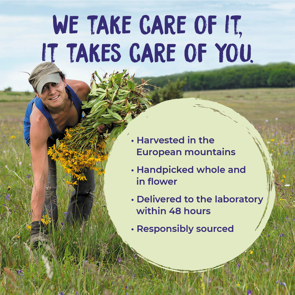 Boiron Arnica Gel 1.5oz-[HealthWay]