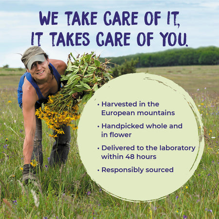 Boiron Arnica Cream 2.5oz-[HealthWay]