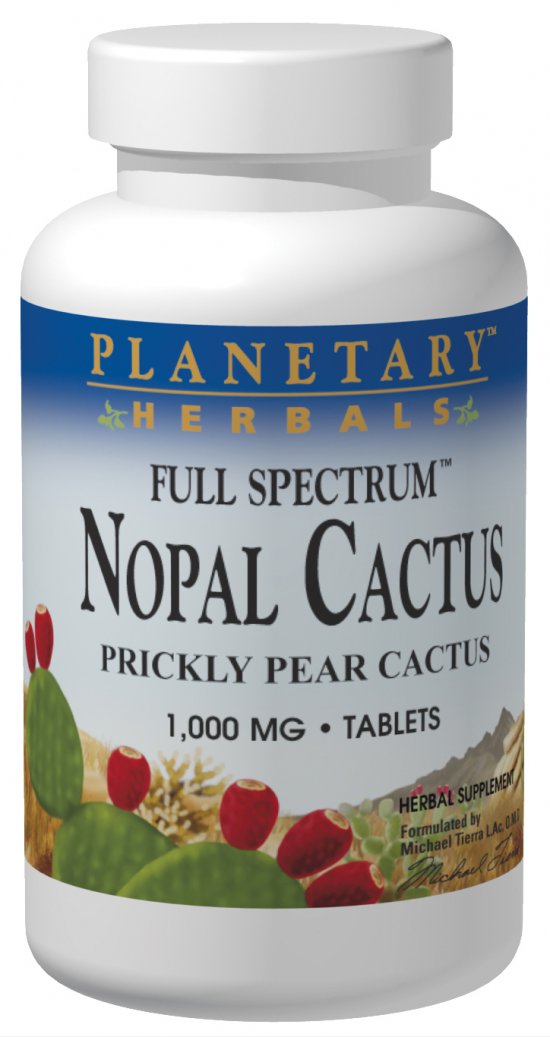 Planetary Nopal Cactus 120tb