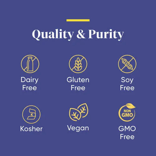 Enzymedica Lypo Gold 60cp-[HealthWay]