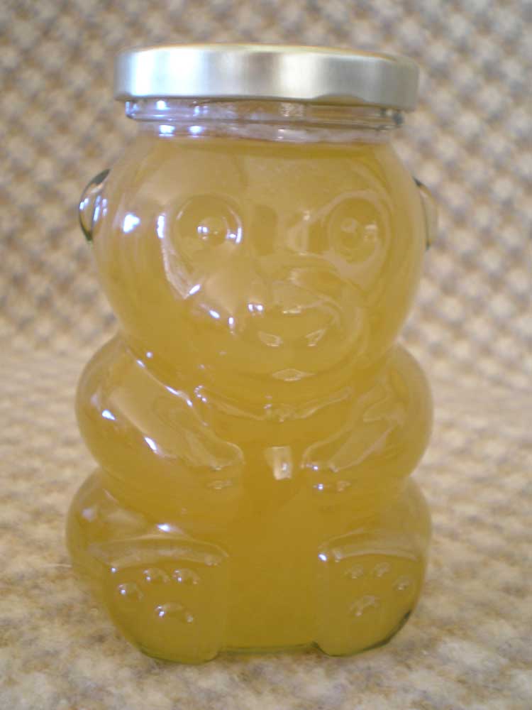 Wild Bee Honey Glass Bear 13oz