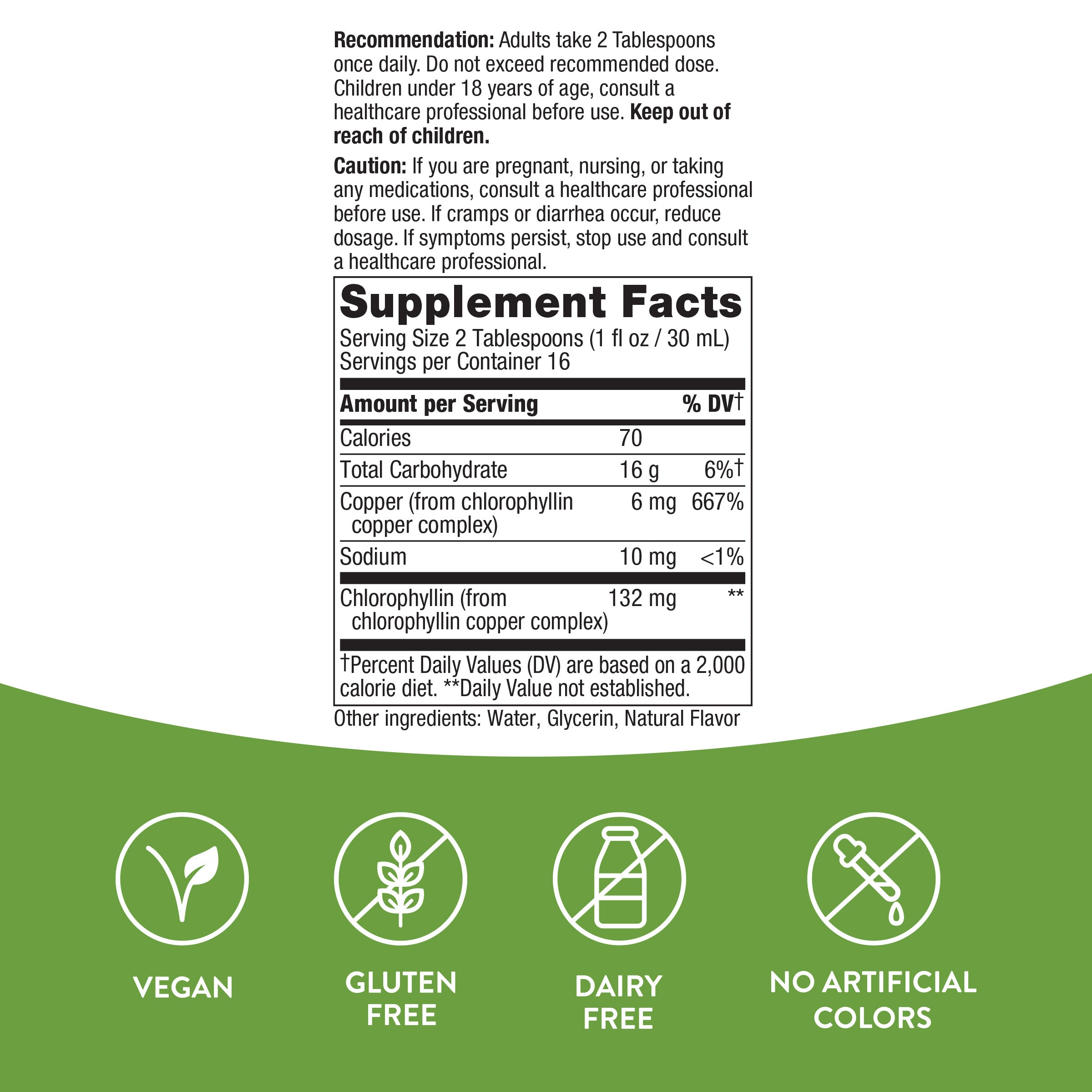 Natures Way Chlorofresh Liq 16oz-[HealthWay]