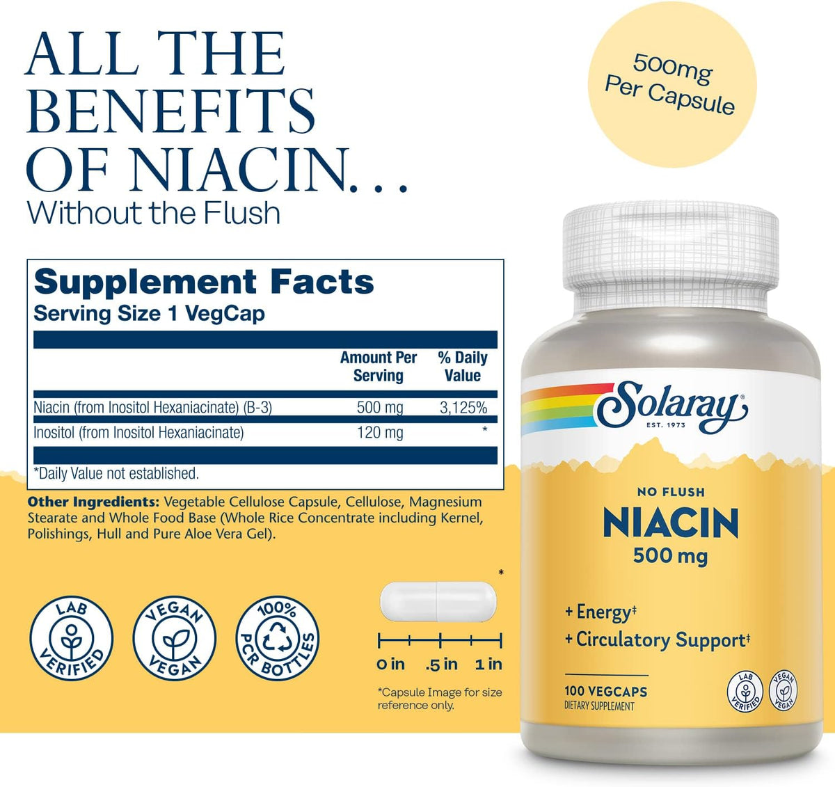 Solaray Niacin, No Flush 100CT Vcp-[HealthWay]