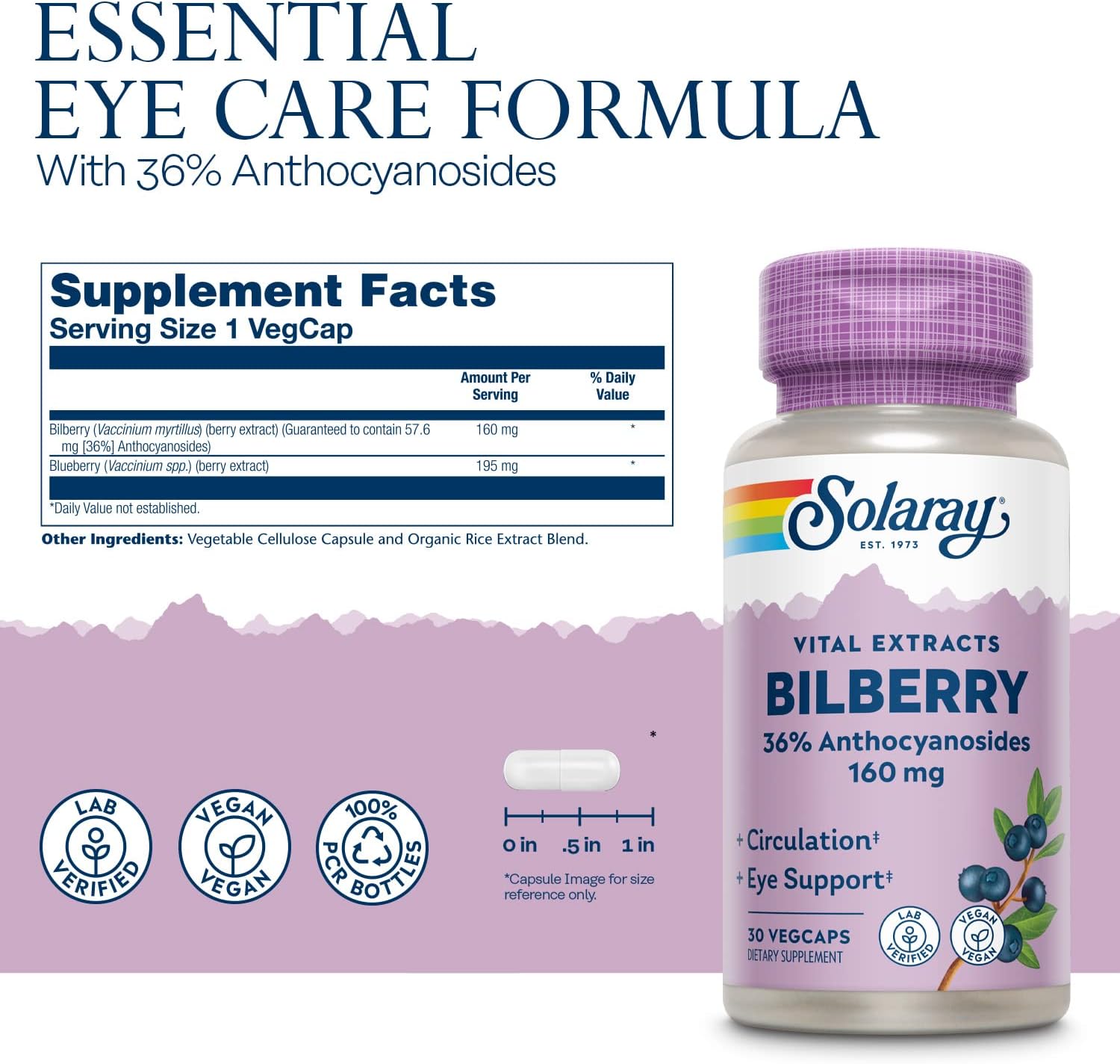 Solaray Bilberry 1 Daily 30cp-[HealthWay]