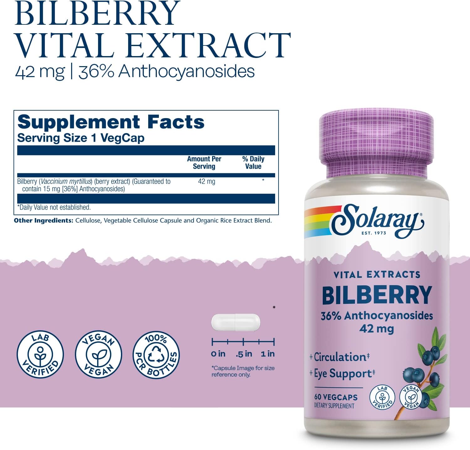 Solaray Bilberry Ext 60mg 60cp-[HealthWay]